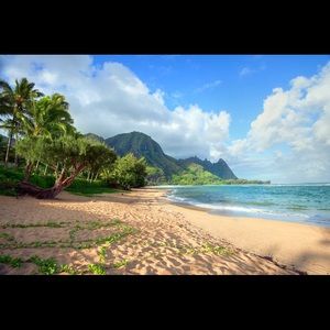 Meet your Posher, Ameshia